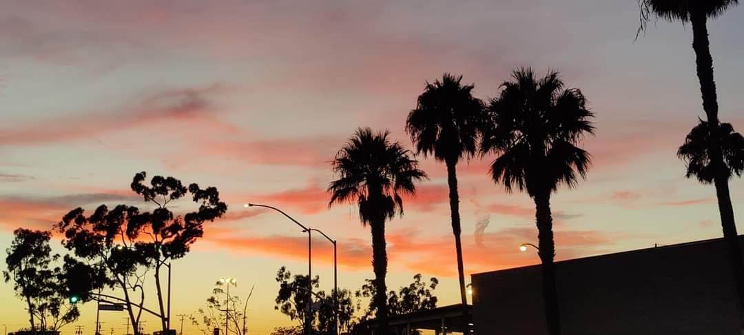 Sunset in Long Beach California